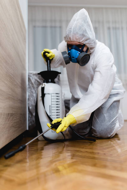 Best Termite Inspection and Treatment  in Manton, MI